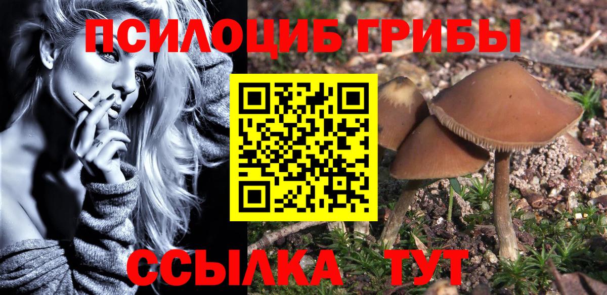 Псилоцибиновые грибы прущие грибы  Вход с VPN  Коломна 